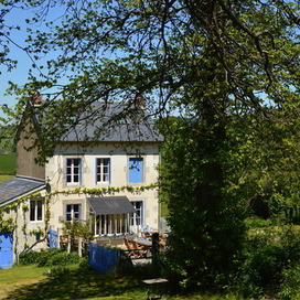 Chez L'Arbre'...
