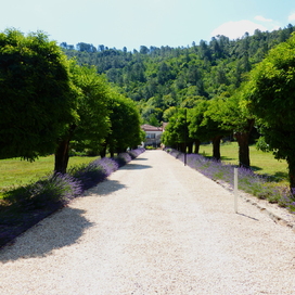 Les Tilleuls
